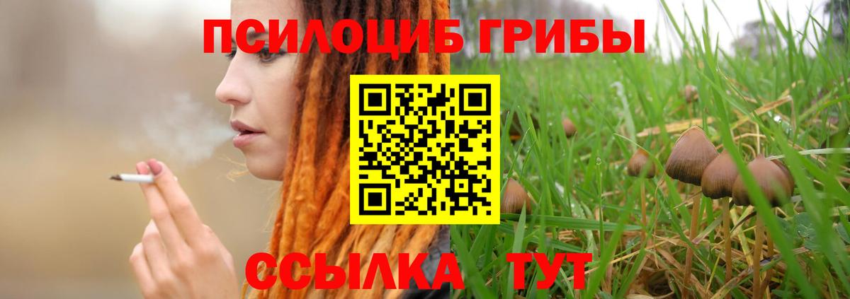 Псилоцибиновые грибы GOLDEN TEACHER Воронеж